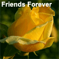 Between Friends Forever.