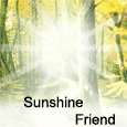 For Your Friend Who&apos;s Like Sunshine.