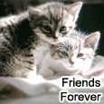 Best Friends Forever!