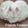 Remain Like This Forever!