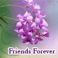I&apos;ll Always Be There For You Too!