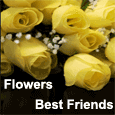Best Friends Day Flowers.