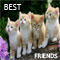 Beautiful Life With True Friends.