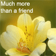 You Mean Much More Than A Friend!