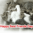 Make Your Best Friend Smile.