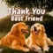 Thank Your Forever Friend
