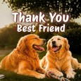Thank Your Forever Friend