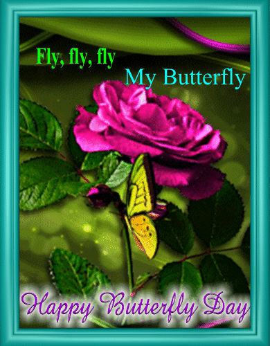 Fly My Butterfly.