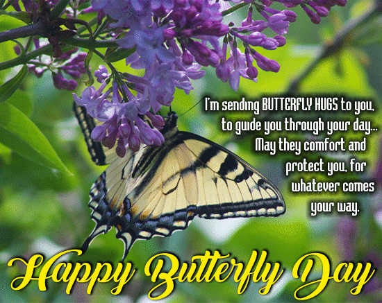 I’m Sending Butterfly Hugs To You.