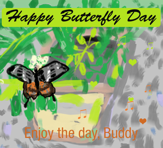 Happy Butterfly Day, Buddy!