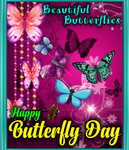 Beautiful Butterflies Ecard.