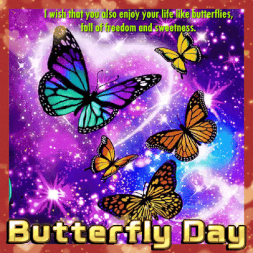 Enjoy Your Life Butterflies.