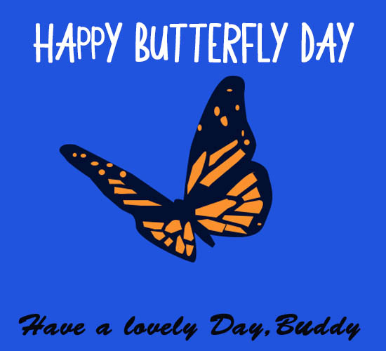 Happy Butterfly Day,Nature Lover.