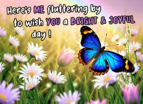 A Joyful Butterfly Day Ecard