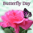 Wish A Beautiful Day...