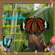 Colorful As The Butterflies.