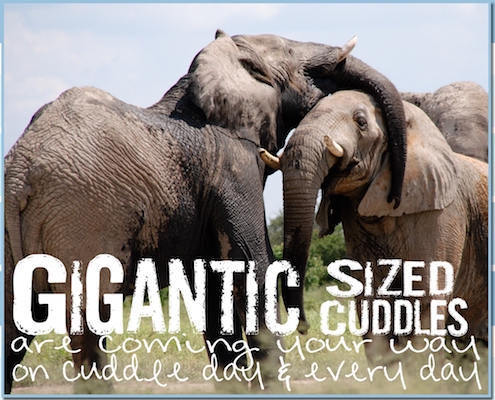 Gigantic Cuddles Coming Your Way!