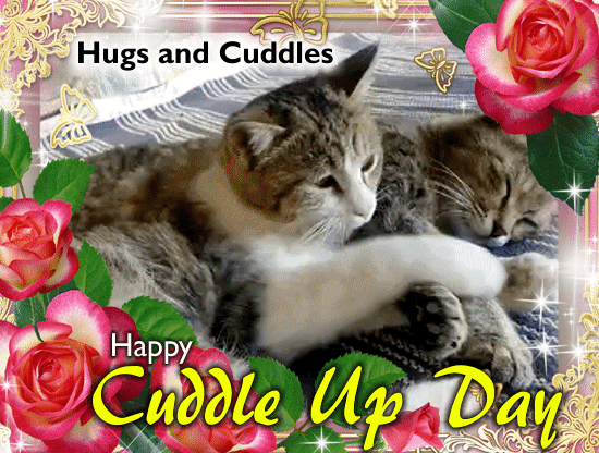 Cats Hug And Cuddle Card.