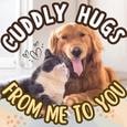 Hugs From Me To You On Cuddle Up Day.