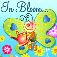 In Bloom...