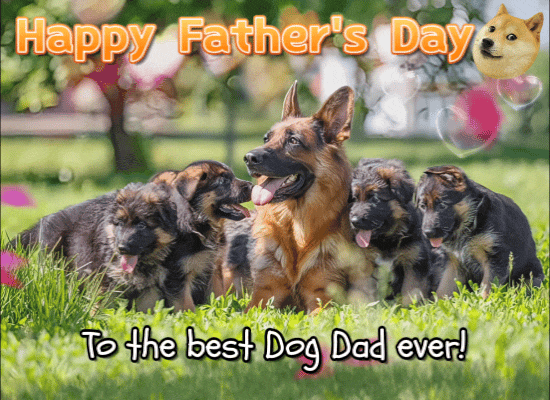 To The Best Dog Dad Ever!