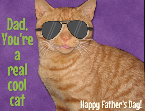 Dad’s A Cool Cat.