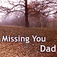 Dad... I'm Missing You...