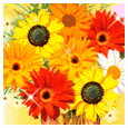 Warm Thoughts 'N Happy Wishes...
