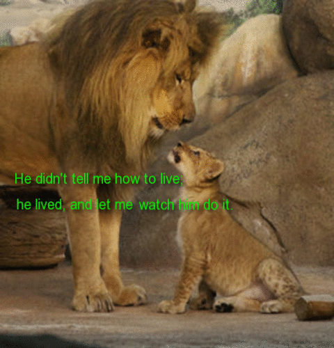 My Lion King Dad.