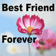 Best Friends Forever Flower