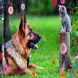 We&#x92;Ll Always Be Best Friends!