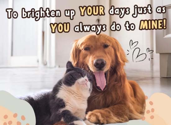 Cuddly Hugs On Hug Holiday Week.