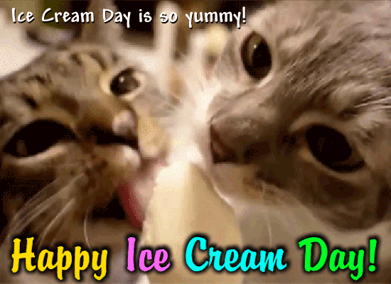 Ice Cream Day Is So Yummy!