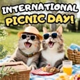 Delightful Wishes On Picnic Day.