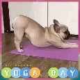 A Cute Yoga Day Card For You.