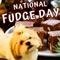 Happy Fudge Day Ecard.