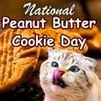 Purrfect Peanut Butter Cookie Day...