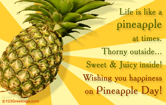 National Pineapple Day Fun.