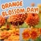 Joyful Orange Blossom Day.
