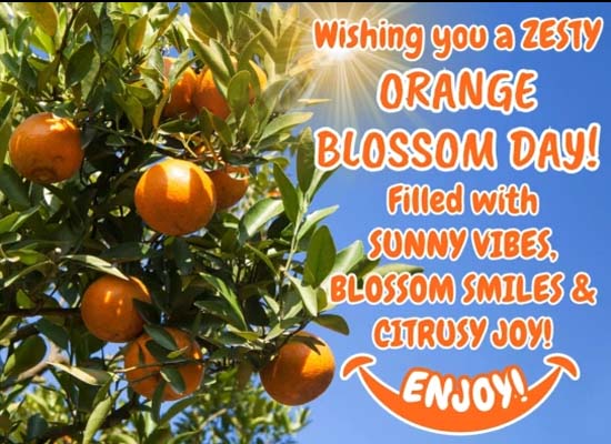 Orange Blossom Day Cards Free Orange Blossom Day Wishes Greeting