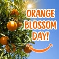 Zesty Orange Blossom Day.