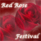 Festival Of Lovely Red Roses!