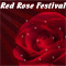 Lots Of Love On Red Rose Festival!