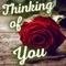 Each Thought Of U Is A Beautiful Rose.