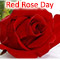 Red Rose A Symbol Of Eternal Love!