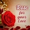 A Wish That Signifies Your Love