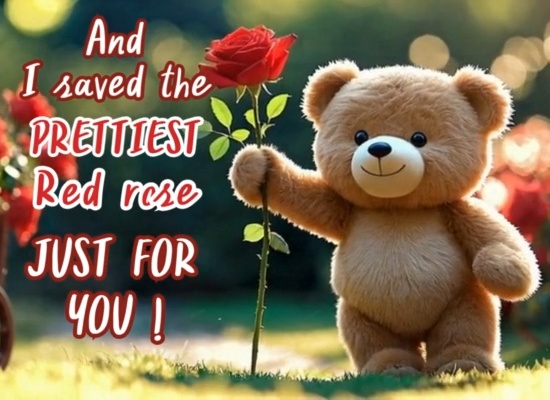 Send Sweet Wishes This Red Rose Day