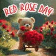 Red Rose Just For 