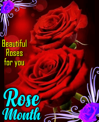 Beautiful Roses Just For You.