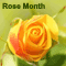 A Warm Message On Rose Month.